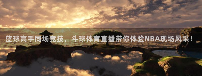 篮球高手同场竞技，斗球体育直播带你体验NBA现场风采！