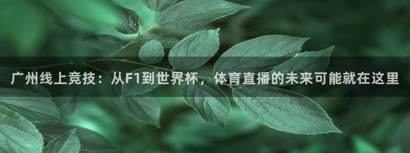 广州线上竞技：从F1到世界杯，体育直播的未来可能就在这里
