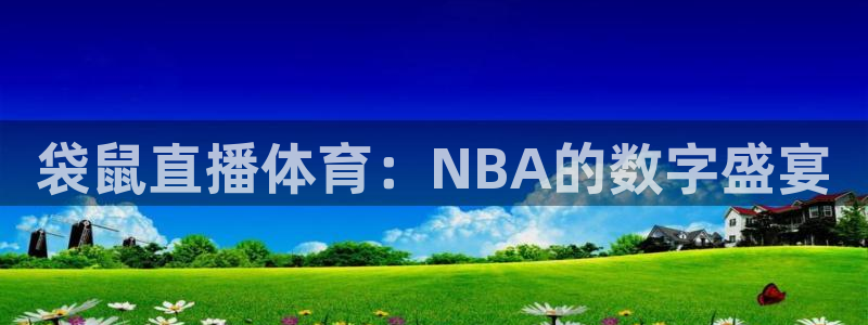 袋鼠直播体育：NBA的数字盛宴
