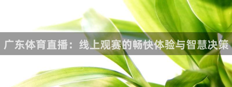 广东体育直播：线上观赛的畅快体验与智慧决策