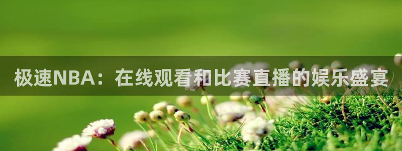 极速NBA：在线观看和比赛直播的娱乐盛宴