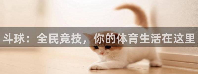 斗球：全民竞技，你的体育生活在这里