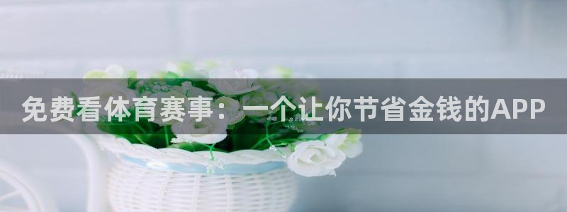 免费看体育赛事：一个让你节省金钱的APP