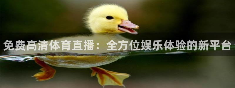 免费高清体育直播：全方位娱乐体验的新平台