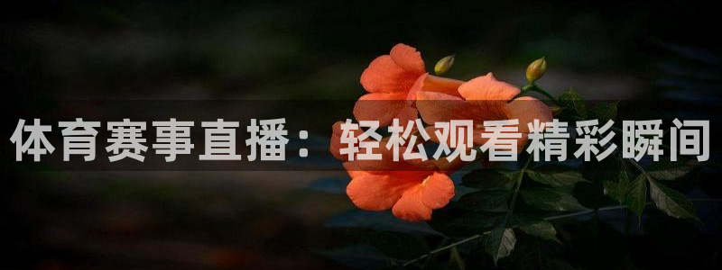 体育赛事直播：轻松观看精彩瞬间