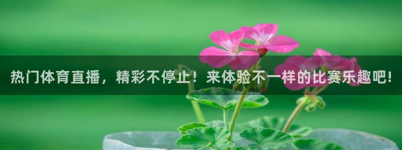 世界杯德国赛程：热门体育直播，精彩不停止！来体验不一样的比赛乐趣吧!