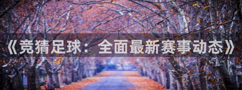 世界杯今日赛程结果：《竞猜足球：全面最新赛事动态》