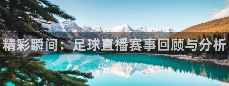 2023世界杯中国男篮阵容：精彩瞬间：足球直播赛事回顾与分析