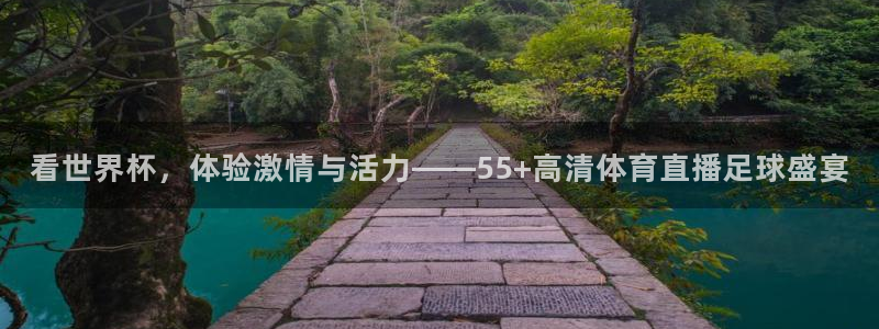 日本在世界杯排名：看世界杯，体验激情与活力——55+高清体育直播足球盛宴