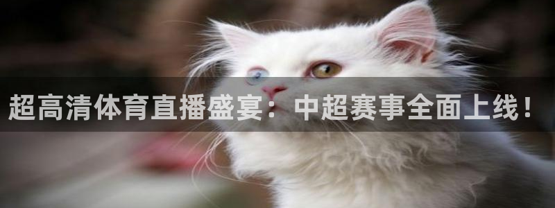 机器人世界杯足球赛：超高清体育直播盛宴：中超赛事全面上线！